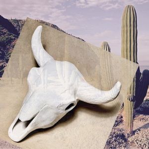 ꧁. PETITE BOHO STEER SKULL .꧂